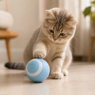 Cat gently tapping a sky-blue interactive rolling pet ball during supervised play
